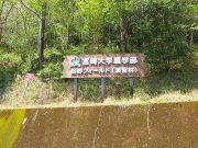 田野フィールド