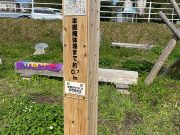 本郷まちづくり