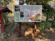 宮崎市観光協会 木花神社