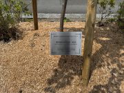 宮大農学部⑴